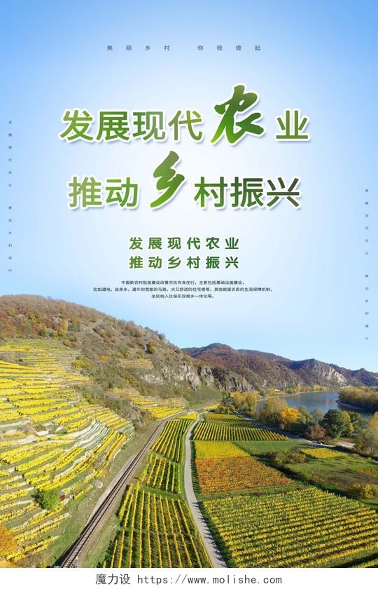 简约发展现代农业推动乡村振兴生态农业发展海报农业宣传